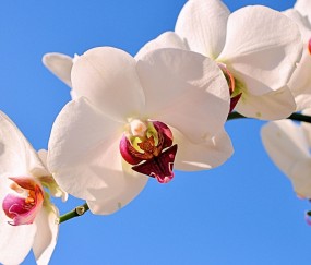 杏花岭正规助孕捐卵机构，附正规捐卵机构报名表！